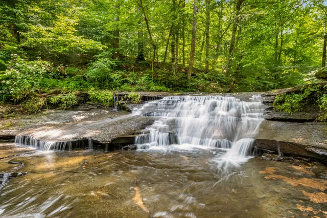 $7,480,000 | 7909 Shoals Branch Road, Primm Springs, TN 38476