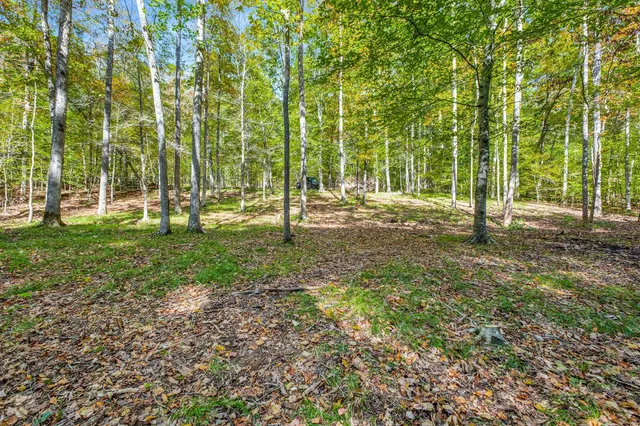 $7,480,000 | 7909 Shoals Branch Road, Primm Springs, TN 38476