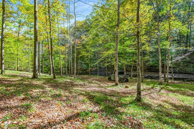 $7,480,000 | 7909 Shoals Branch Road, Primm Springs, TN 38476