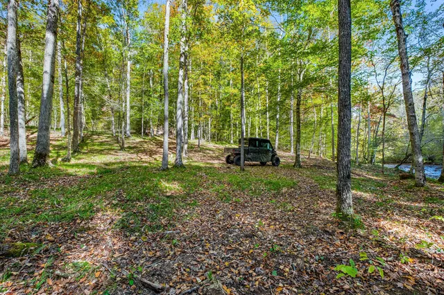 $7,480,000 | 7909 Shoals Branch Road, Primm Springs, TN 38476