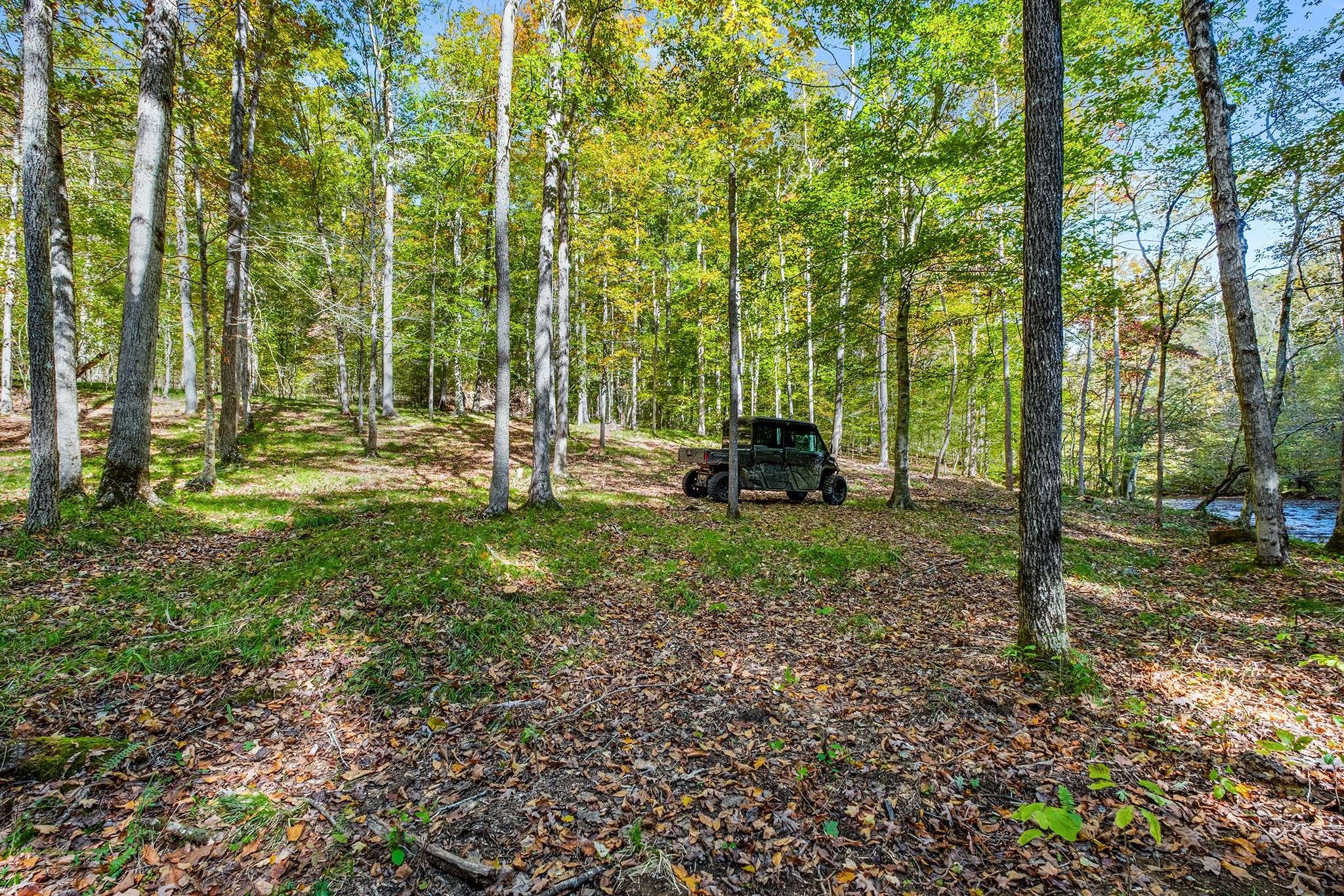7909 Shoals Branch Road Primm Springs, TN 38476 - Photo 73 of 87 a backyard of a house with lots of green space