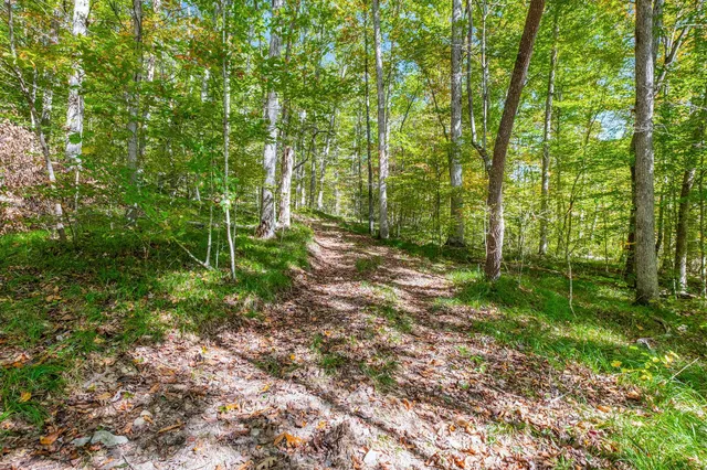 $7,480,000 | 7909 Shoals Branch Road, Primm Springs, TN 38476