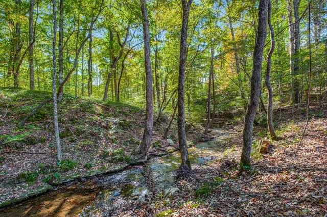 $7,480,000 | 7909 Shoals Branch Road, Primm Springs, TN 38476