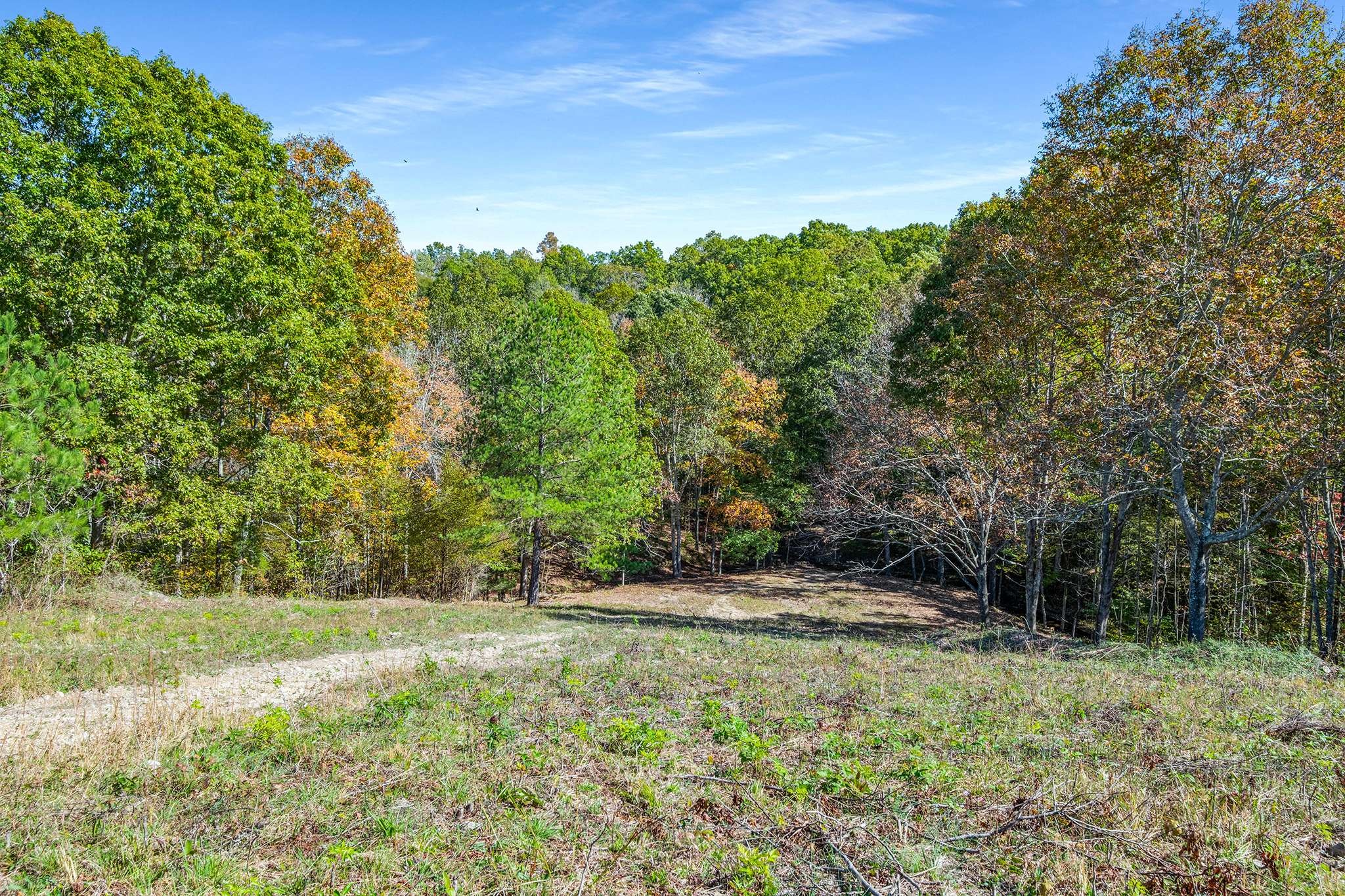 7909 Shoals Branch Road Primm Springs, TN 38476 - Photo 81 of 87