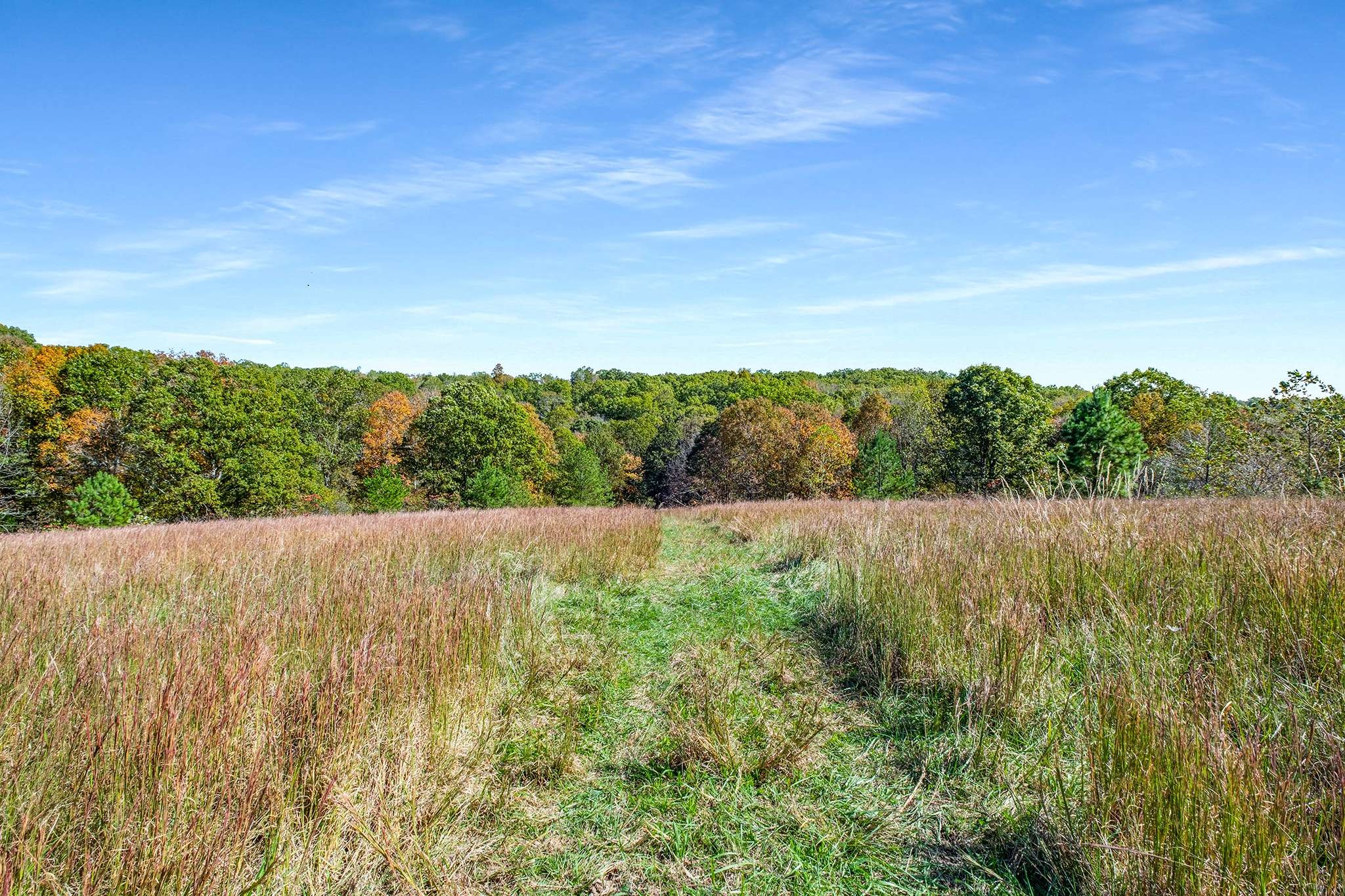 7909 Shoals Branch Road Primm Springs, TN 38476 - Photo 82 of 87