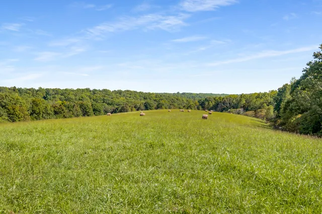 $7,480,000 | 7909 Shoals Branch Road, Primm Springs, TN 38476