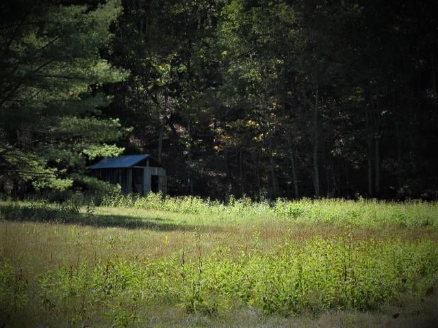 14 Wallace Hollow Road Lindside, WV 24951 - Photo 46 of 89 Gallery Image 46