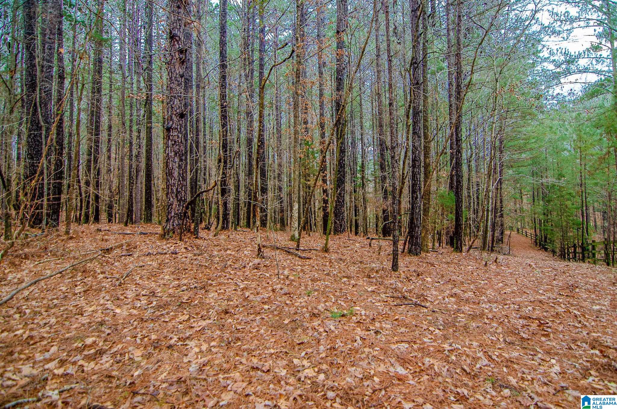 7 High Mesa Circle, Unit 7 Chelsea, AL 35043 - Photo 9 of 14