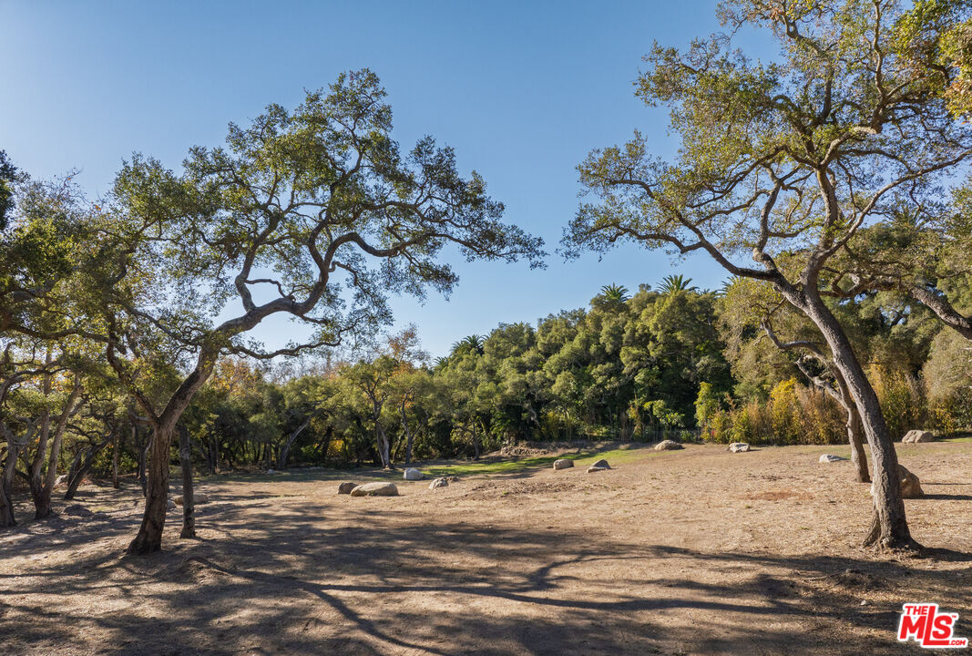 780 Ashley Road Santa Barbara, CA 93108 - Photo 11 of 21 a view of a yard with trees