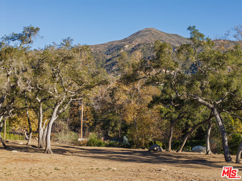 780 Ashley Road Santa Barbara, CA 93108 - Photo 12 of 21 a view of a yard with a tree