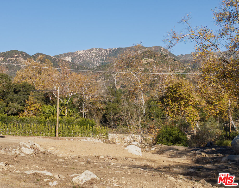 780 Ashley Road Santa Barbara, CA 93108 - Photo 15 of 21 a view of a yard with a tree