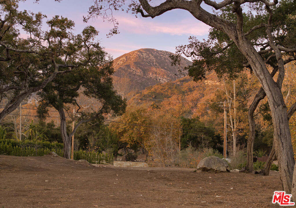 780 Ashley Road Santa Barbara, CA 93108 - Photo 18 of 21 a view of a backyard of the house