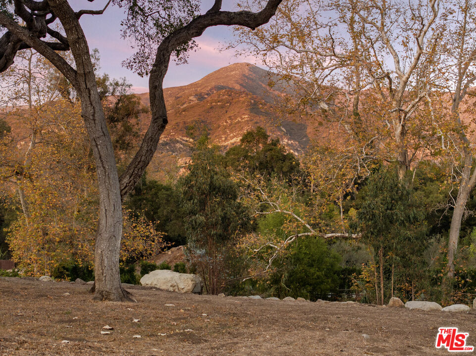 780 Ashley Road Santa Barbara, CA 93108 - Photo 19 of 21 a view of a yard with trees