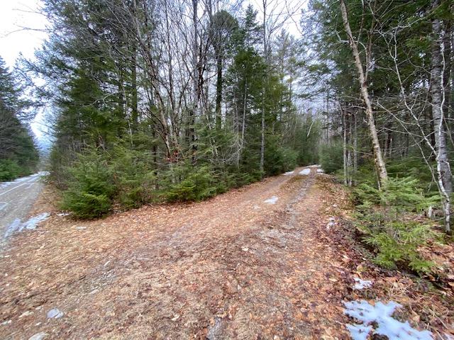 0 Hobbs Swamp Road Parsonsfield, ME 04047 - Photo 7 of 10 IMG_1102