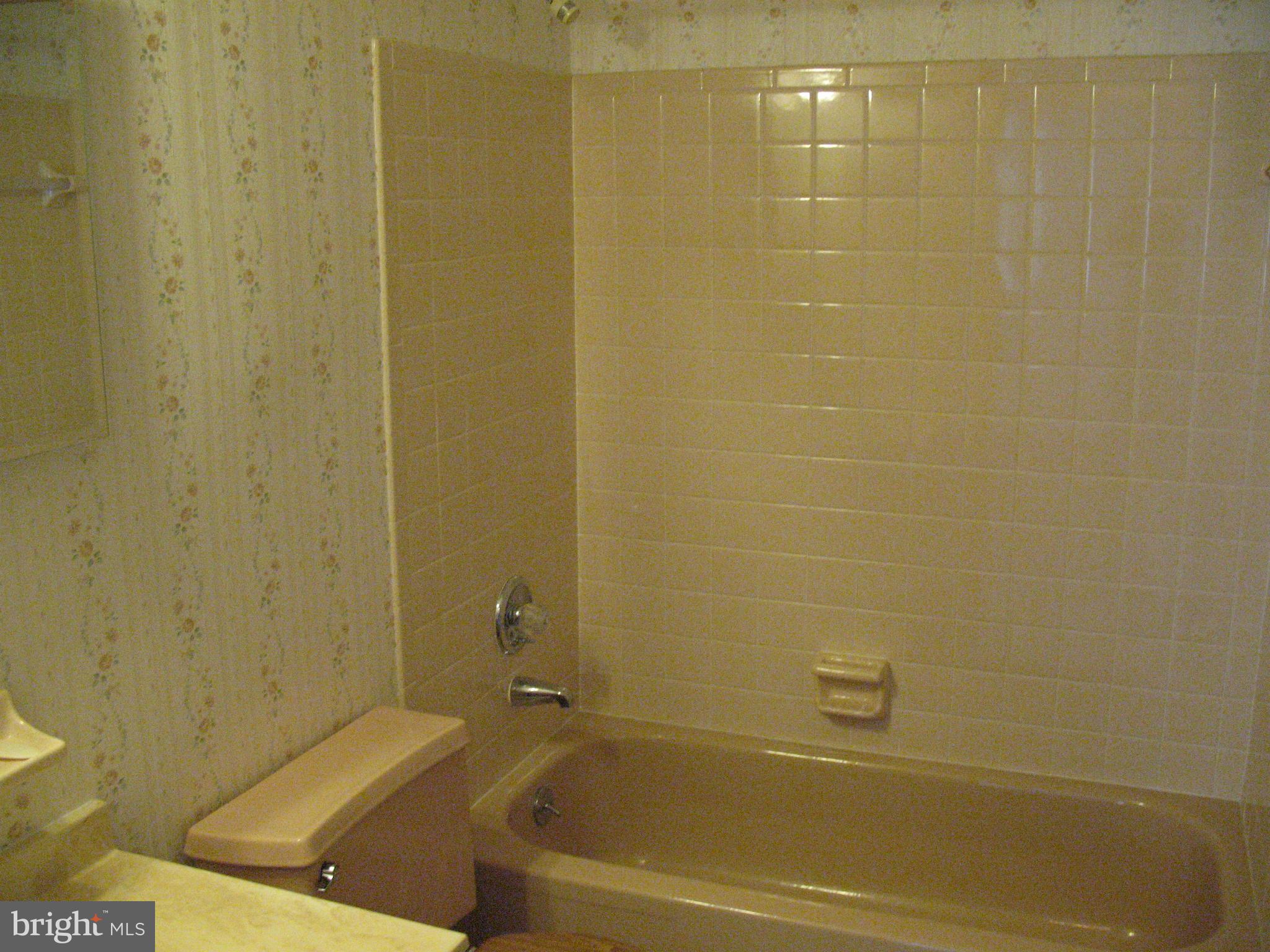 9618 Trepid Road Baltimore, MD 21236 - Photo 16 of 30 Bath (Hall)