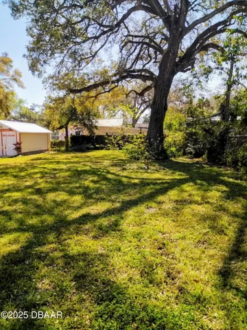 a view of a yard with a tree