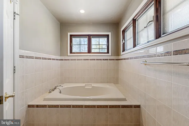 a view of a yard with plants and trees