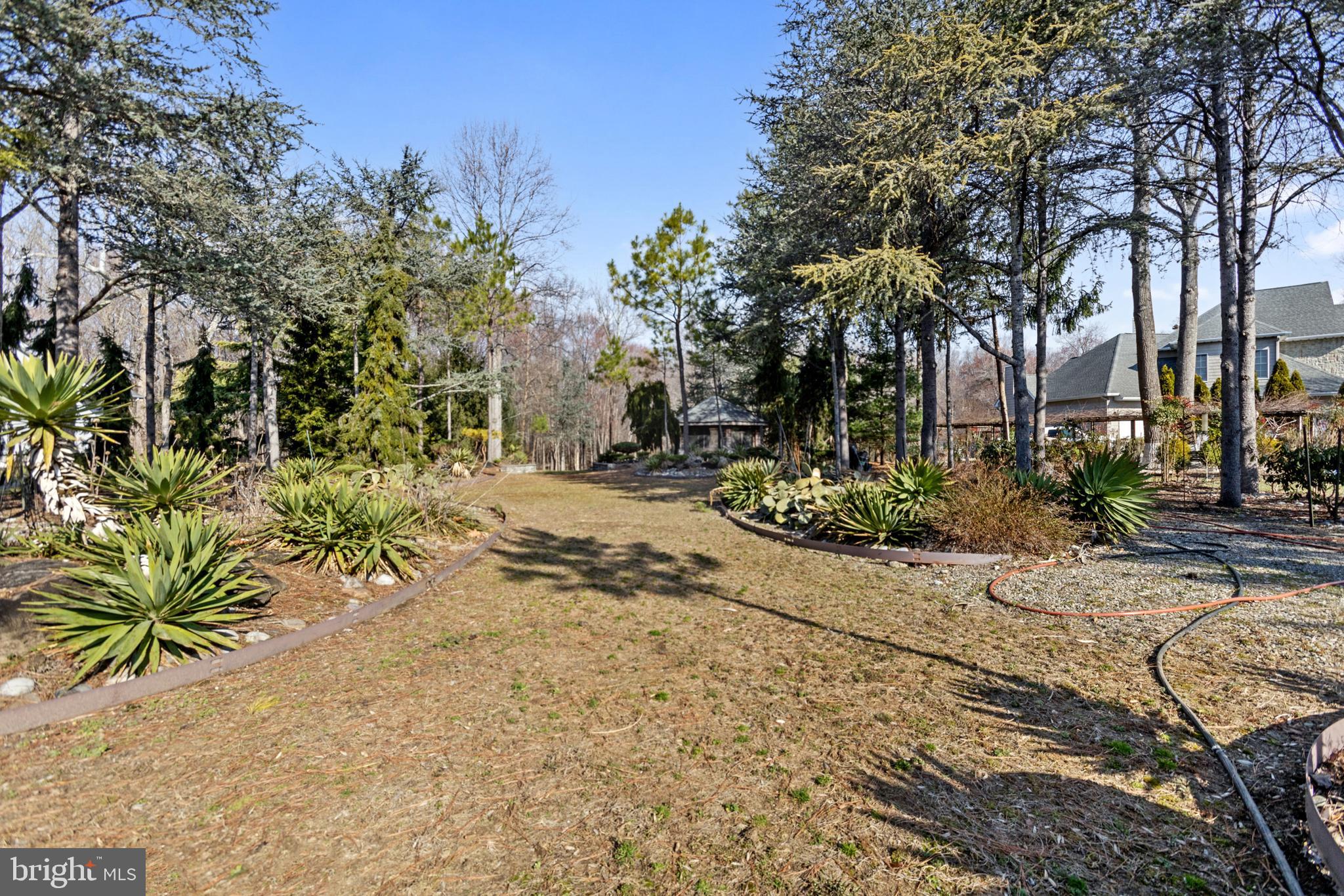 15 Baltray Road Dover, DE 19904 - Photo 48 of 59 a view of a yard with plants and trees