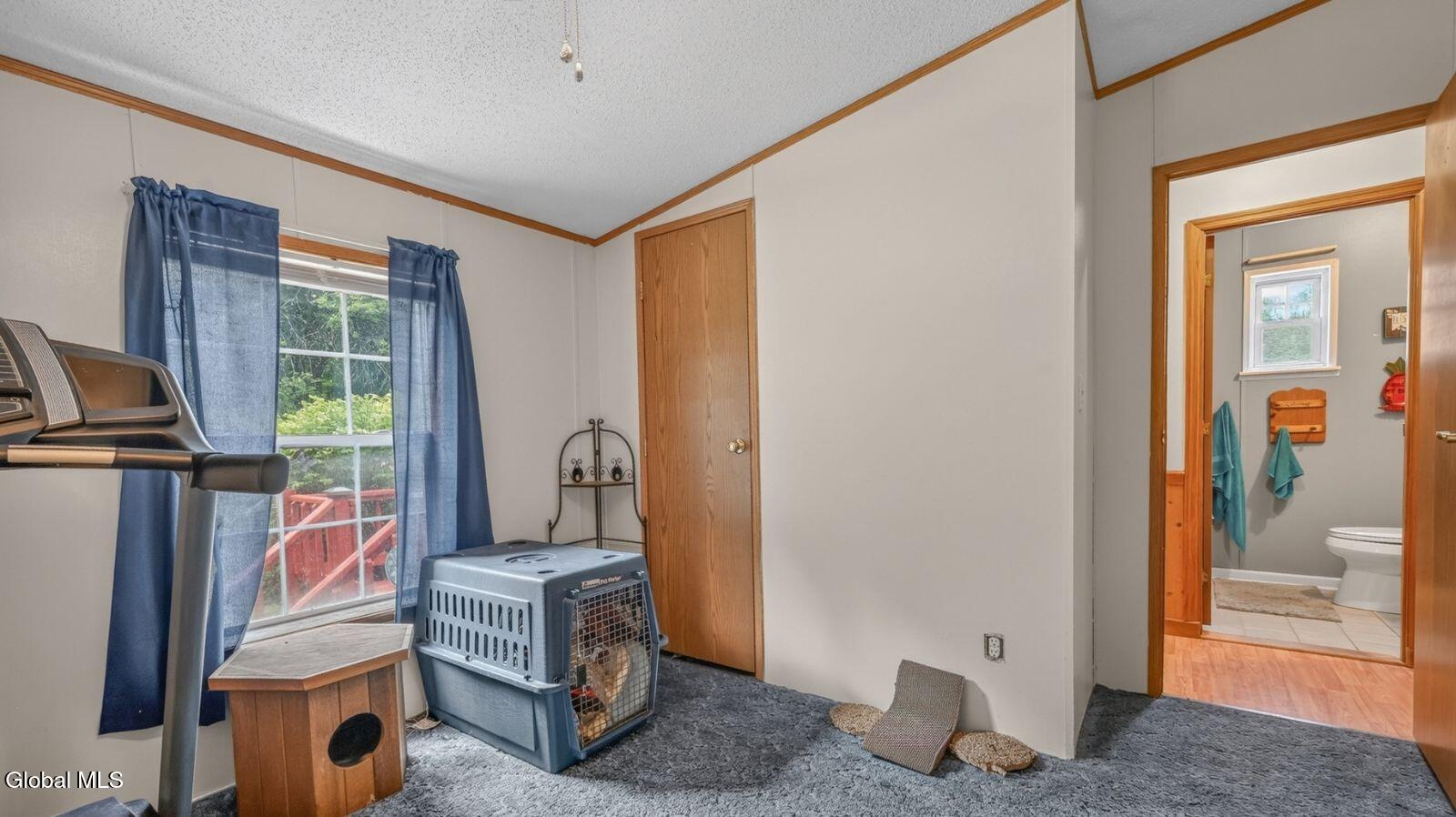 171 Rossman Hill Road Summit, NY 12175 - Photo 39 of 54 171-rossman-hill-rd-summit-ny-real-estat