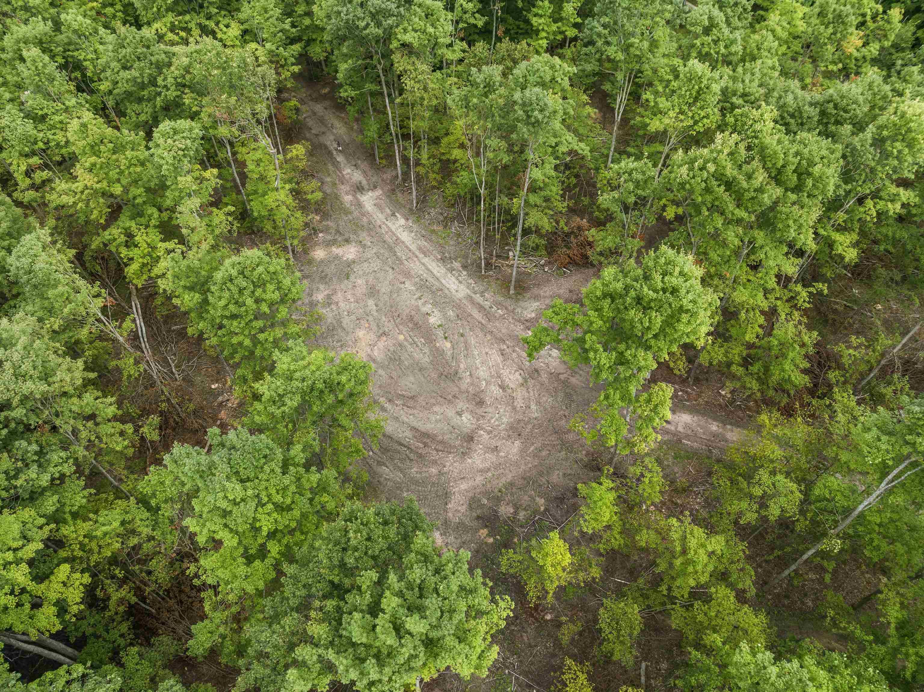 0 Valencourt Road Copemish, MI 49625 - Photo 10 of 12 1948864-7698c45f-0120-475d-848a-6d15085527ce.JPG