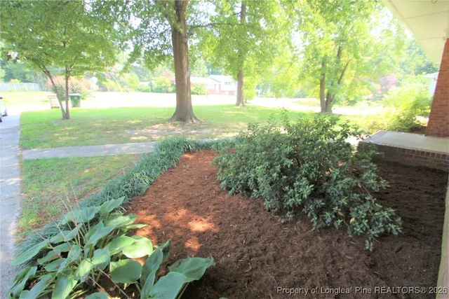 a view of backyard with large trees