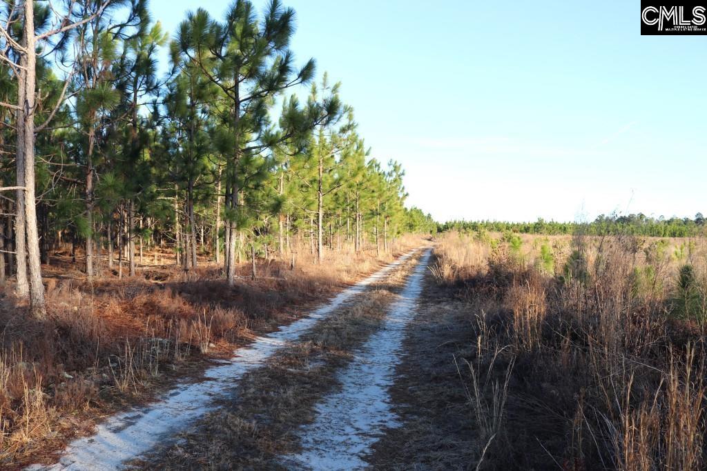 Holstein Road Wagener, SC 29164 - Photo 9 of 26