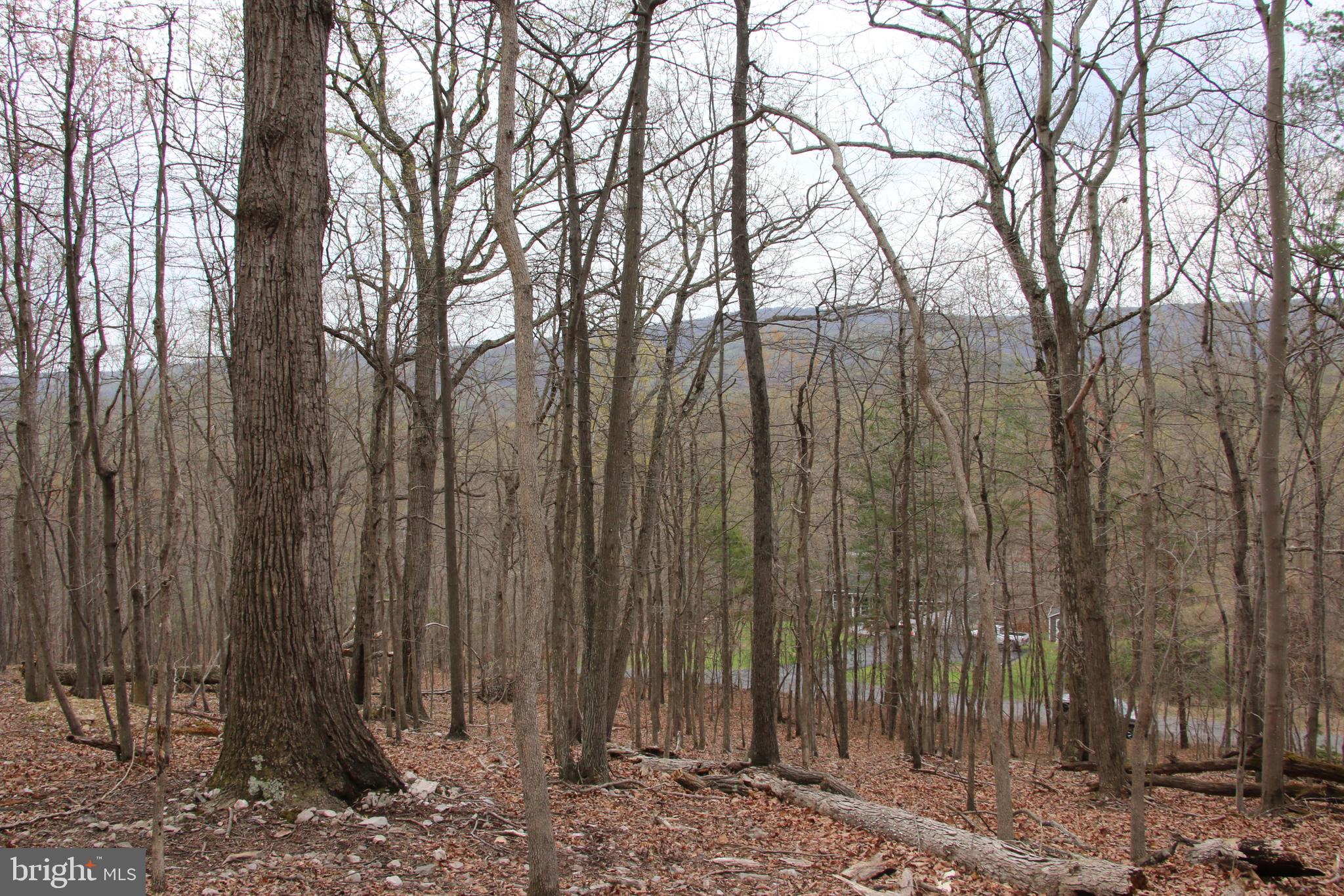Old Oregon Road Front Royal, VA 22630 - Photo 1 of 13 a view of outdoor space with a garden