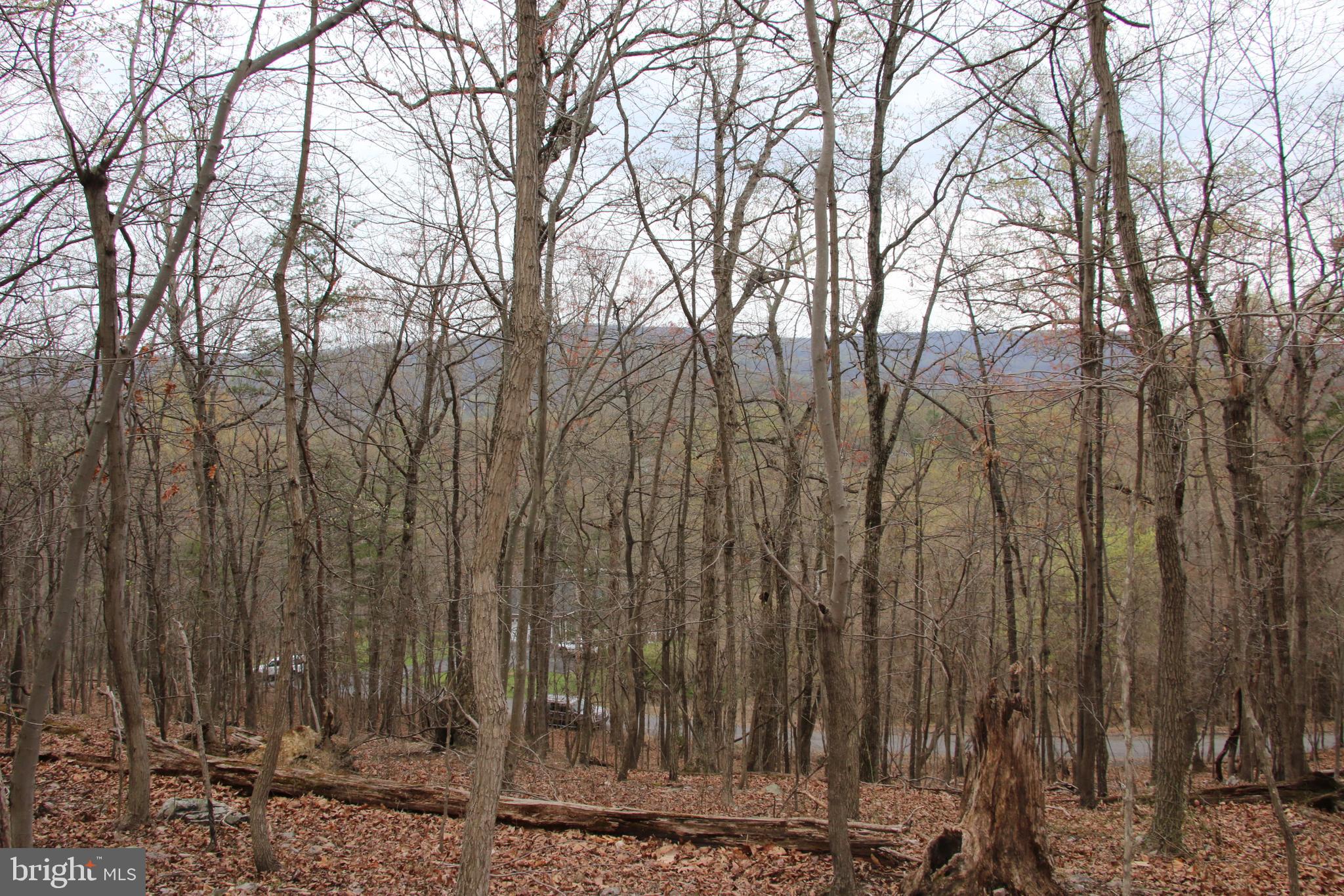 Old Oregon Road Front Royal, VA 22630 - Photo 2 of 13 a view of three trees