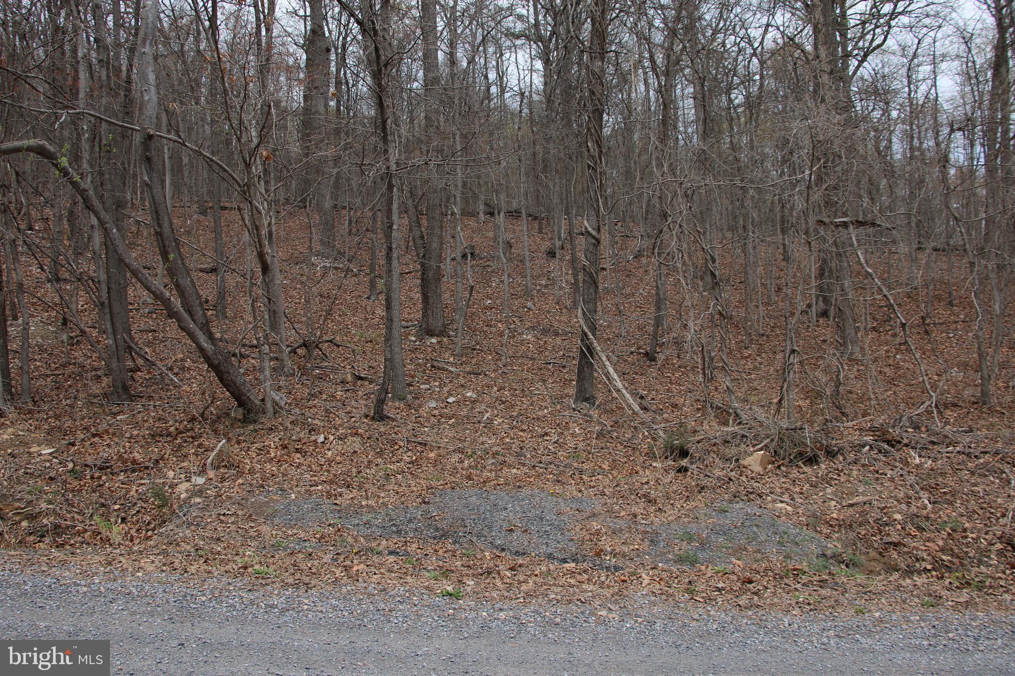 Old Oregon Road Front Royal, VA 22630 - Photo 3 of 13 a view of a dry yard with trees in the background