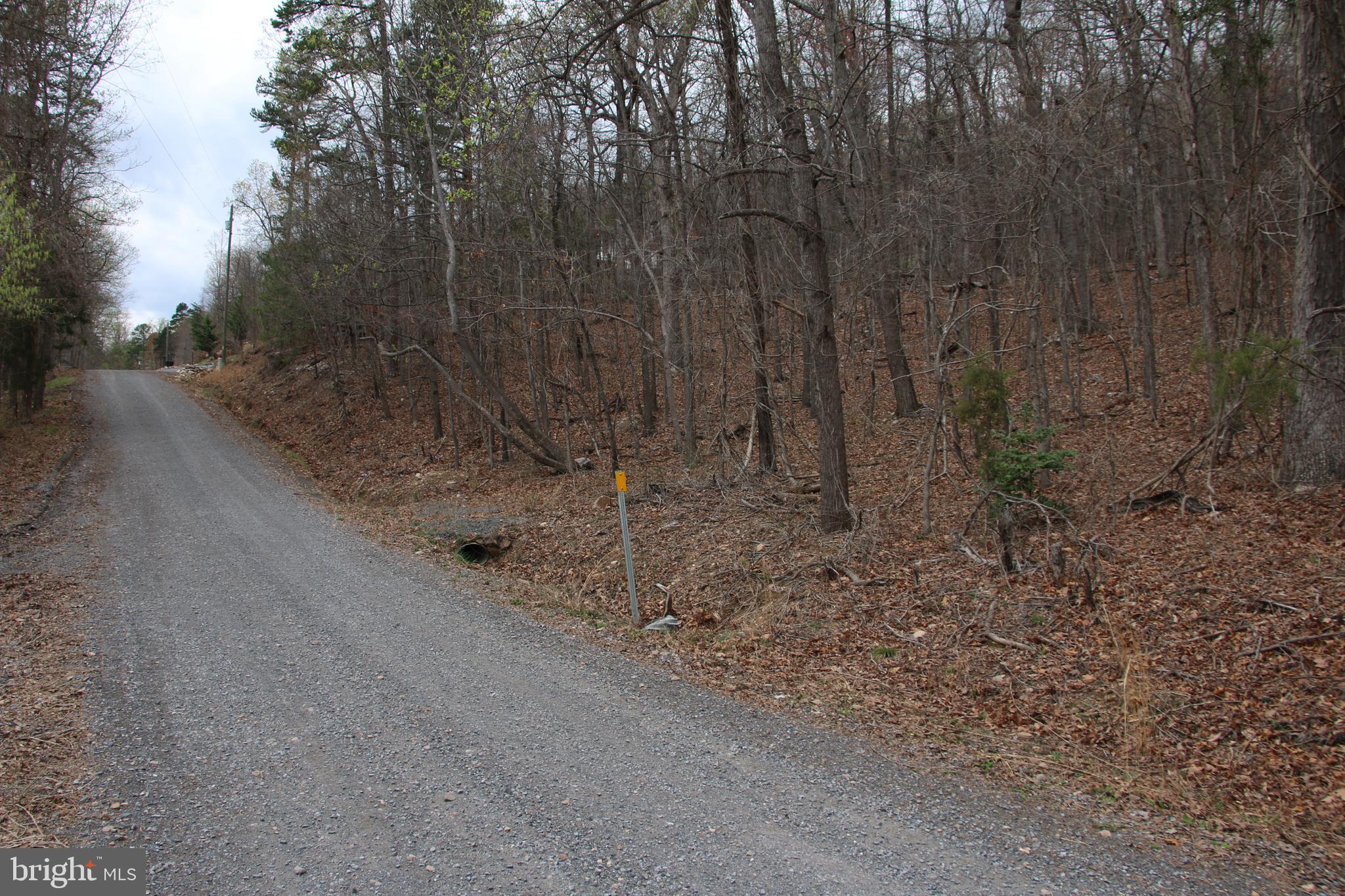 Old Oregon Road Front Royal, VA 22630 - Photo 4 of 13 a view of a dry yard with trees