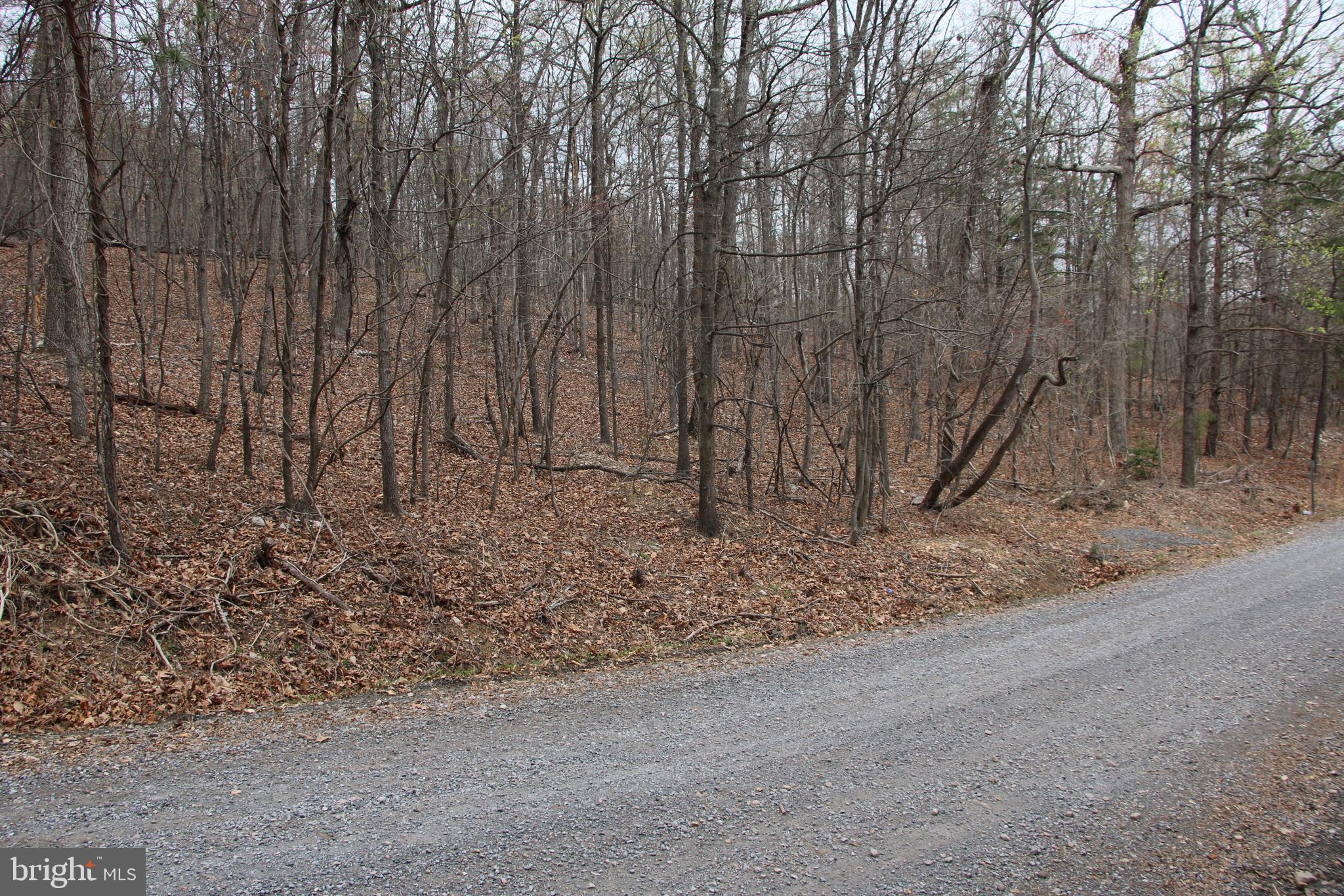 Old Oregon Road Front Royal, VA 22630 - Photo 9 of 13 a view of wooden fence and trees