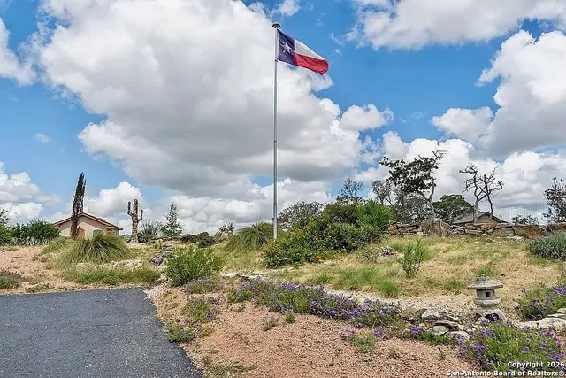 a view of a flower around in a yard