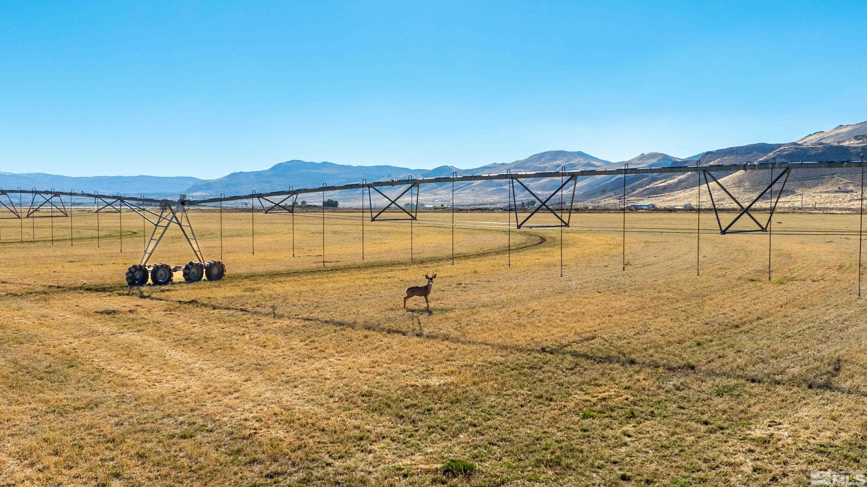 5555 Sage Flat Road Reno, NV 89510 - Photo 20 of 21 Photo 20