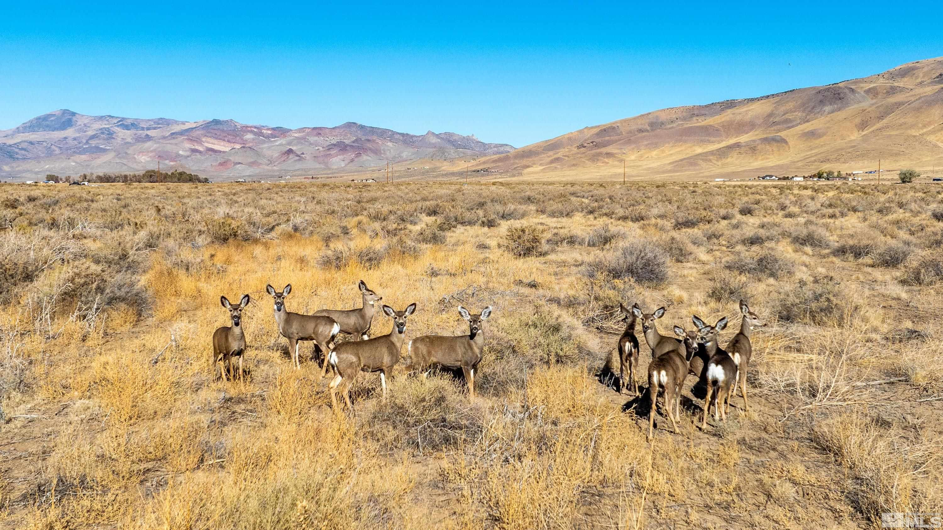 5555 Sage Flat Road Reno, NV 89510 - Photo 21 of 21 Photo 21