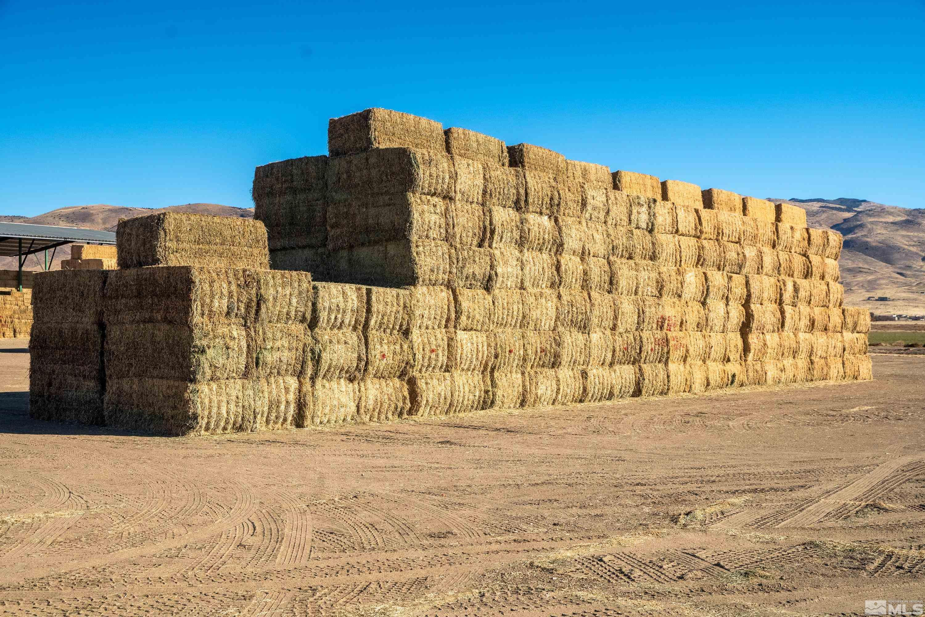 5555 Sage Flat Road Reno, NV 89510 - Photo 9 of 21 Photo 9