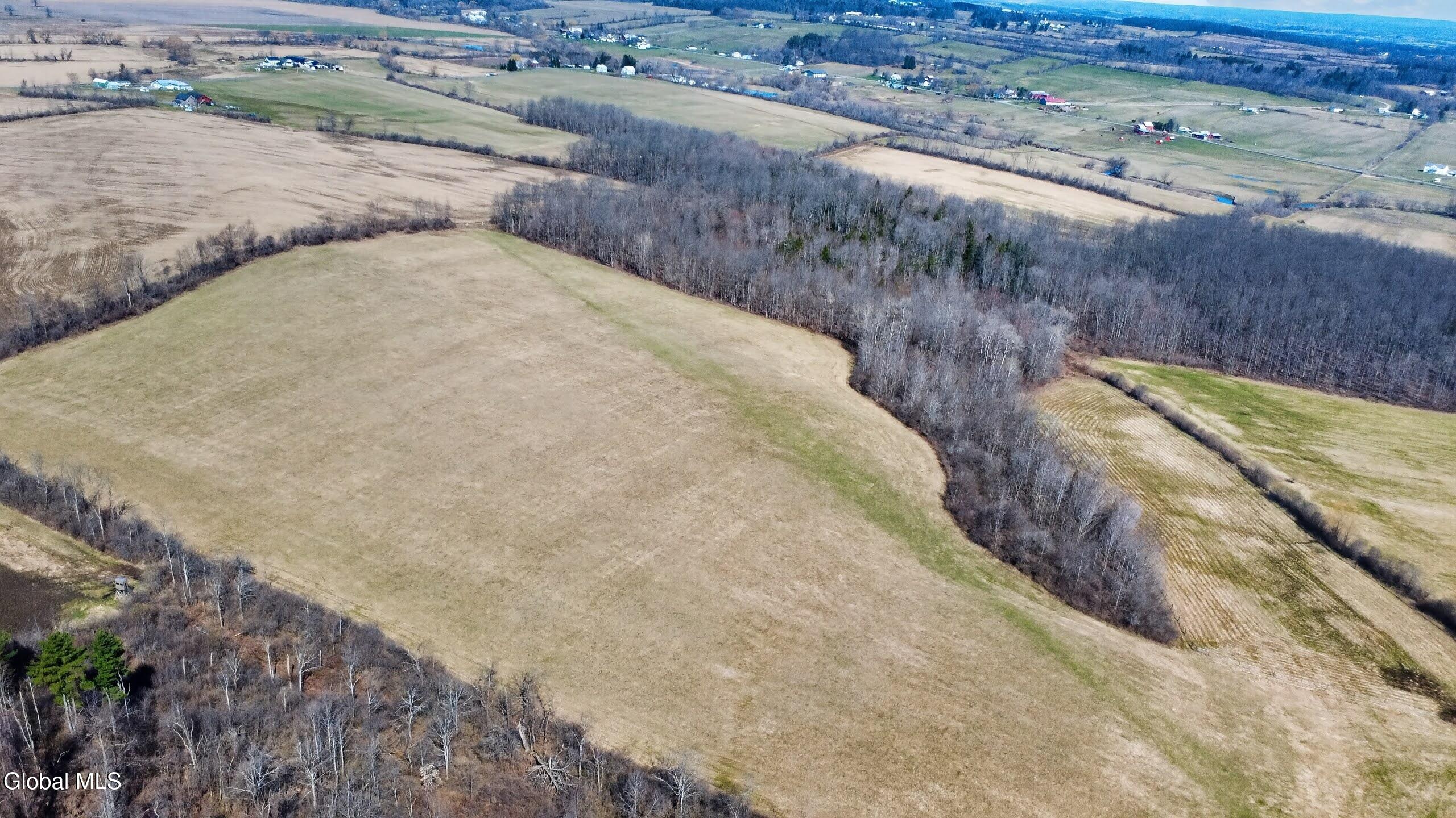 242 Macphail Road Canajoharie, NY 13317 - Photo 88 of 98 DJI_0530