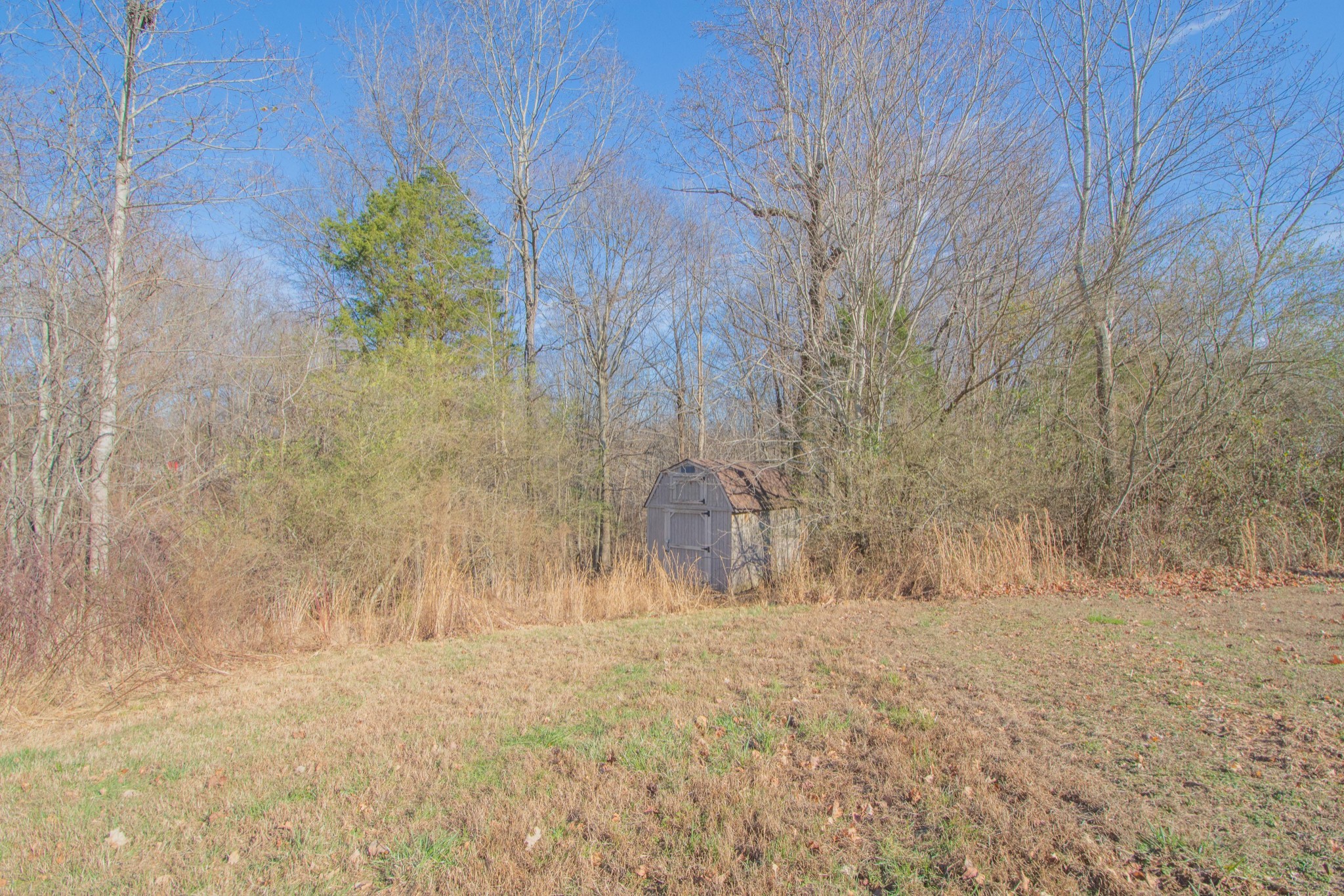 1149 Oak Grove Road Goodspring, TN 38460 - Photo 21 of 21 a view of dirt field and trees