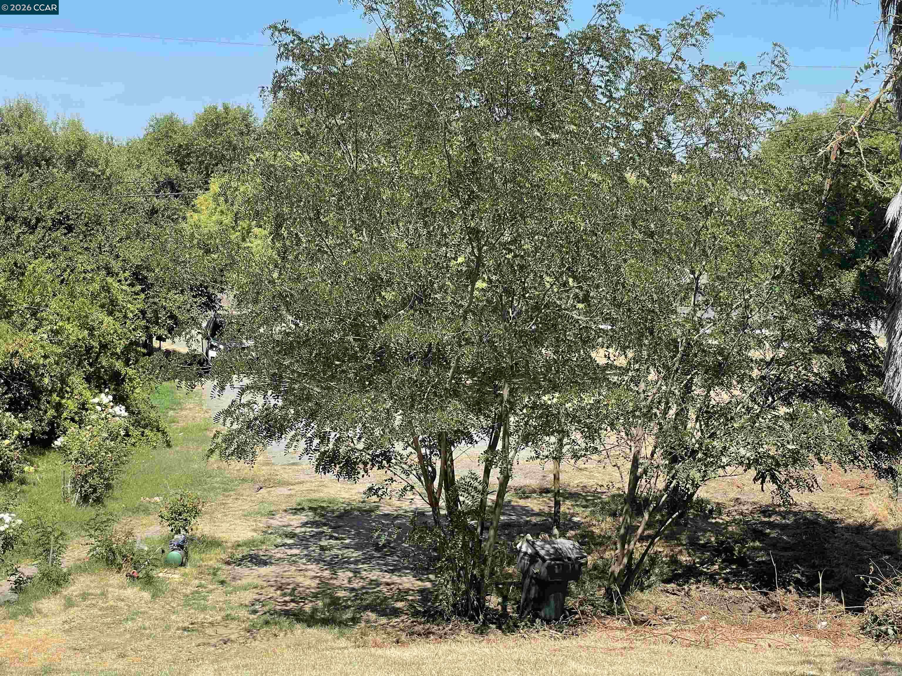 1766 Taylor Road Bethel Island, CA 94511 - Photo 16 of 22 a view of lake view