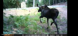 90 Shawnee Path Sagle, ID 83860 - Photo 42 of 47 unnamed