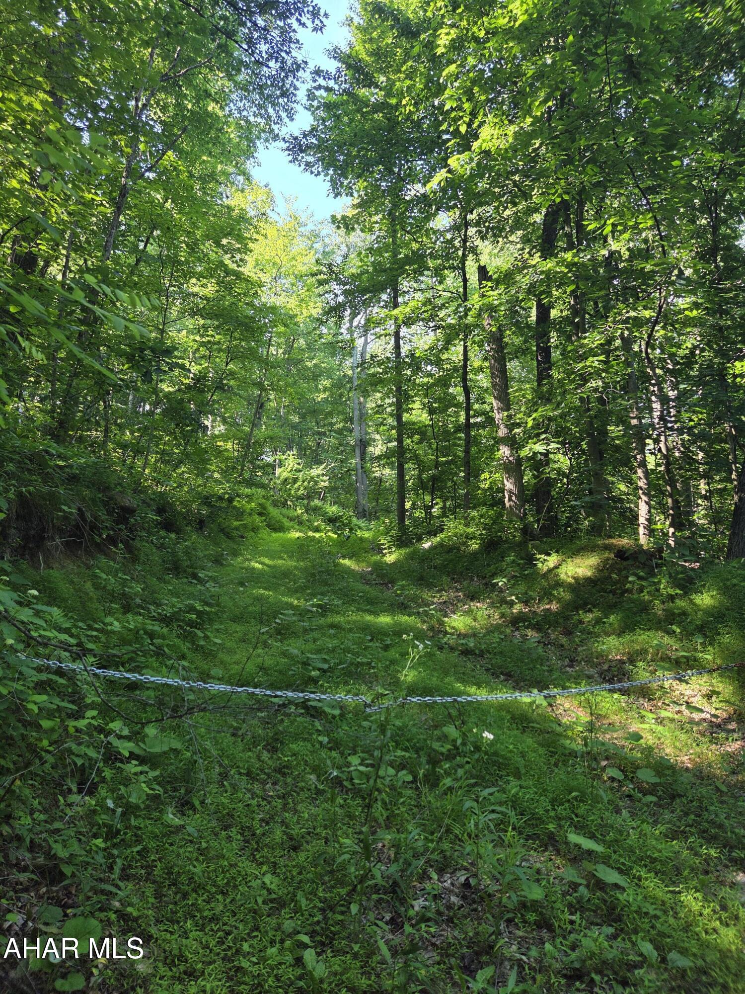 0 Sugar Ridge Road McVeytown, PA 17051 - Photo 1 of 19