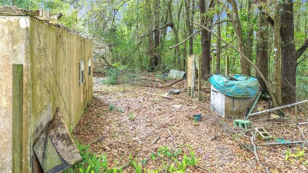 a view of a back yard with green space