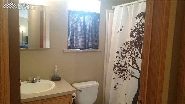 346 Kutsu Ridge Road Florissant, CO 80816 - Photo 16 of 28