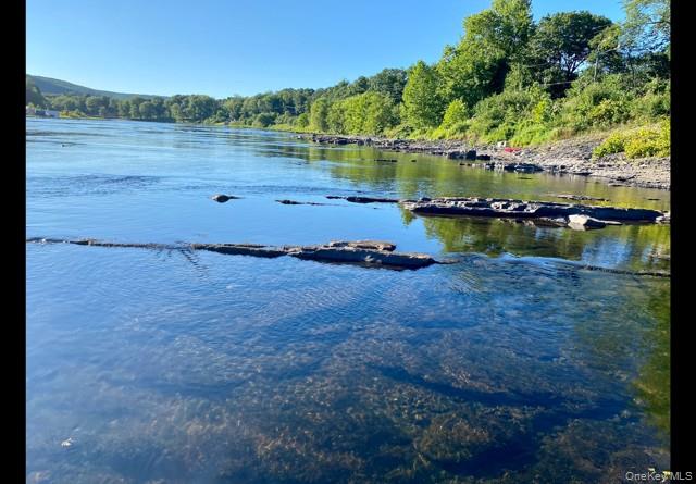 36 Sleepy Hollow Road Port Jervis, NY 12771 - Photo 45 of 48 Waterfront