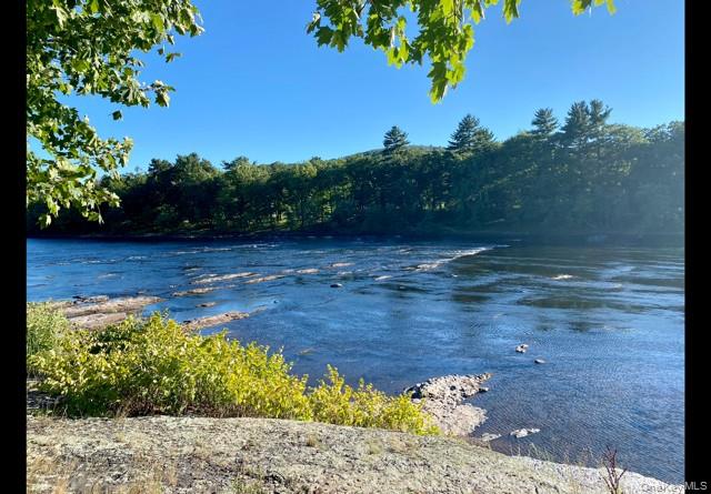 36 Sleepy Hollow Road Port Jervis, NY 12771 - Photo 46 of 48 Waterfront