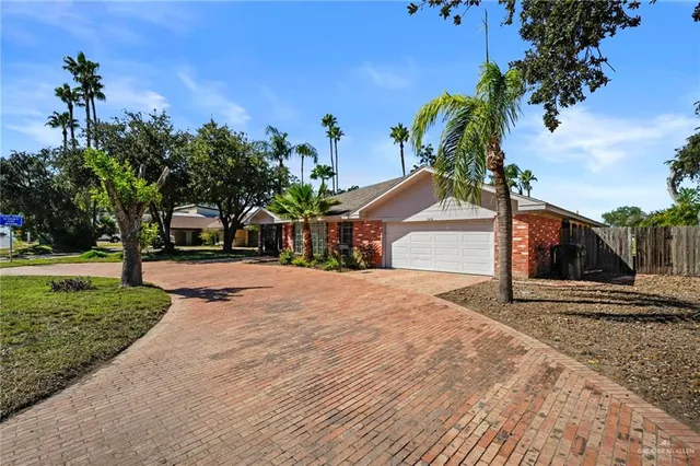 a view of a yard with plants and trees