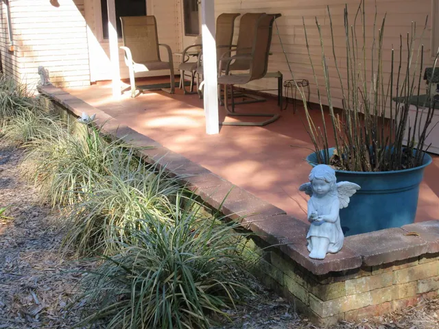 a view of road view with trees