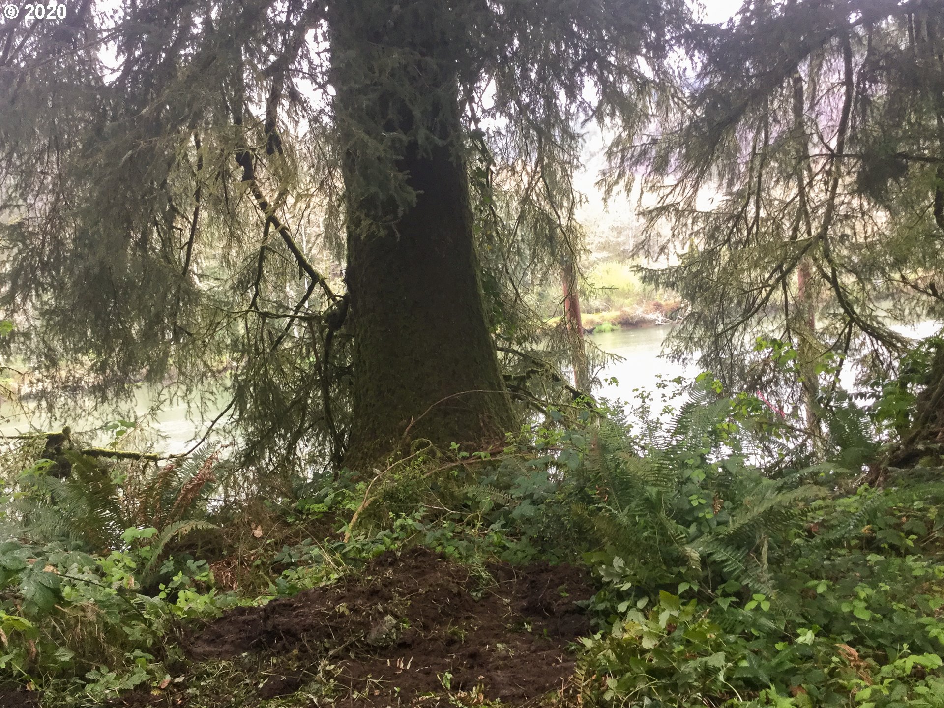 8305 Duncan Island Road Mapleton, OR 97453 - Photo 11 of 14 Gallery Image 11