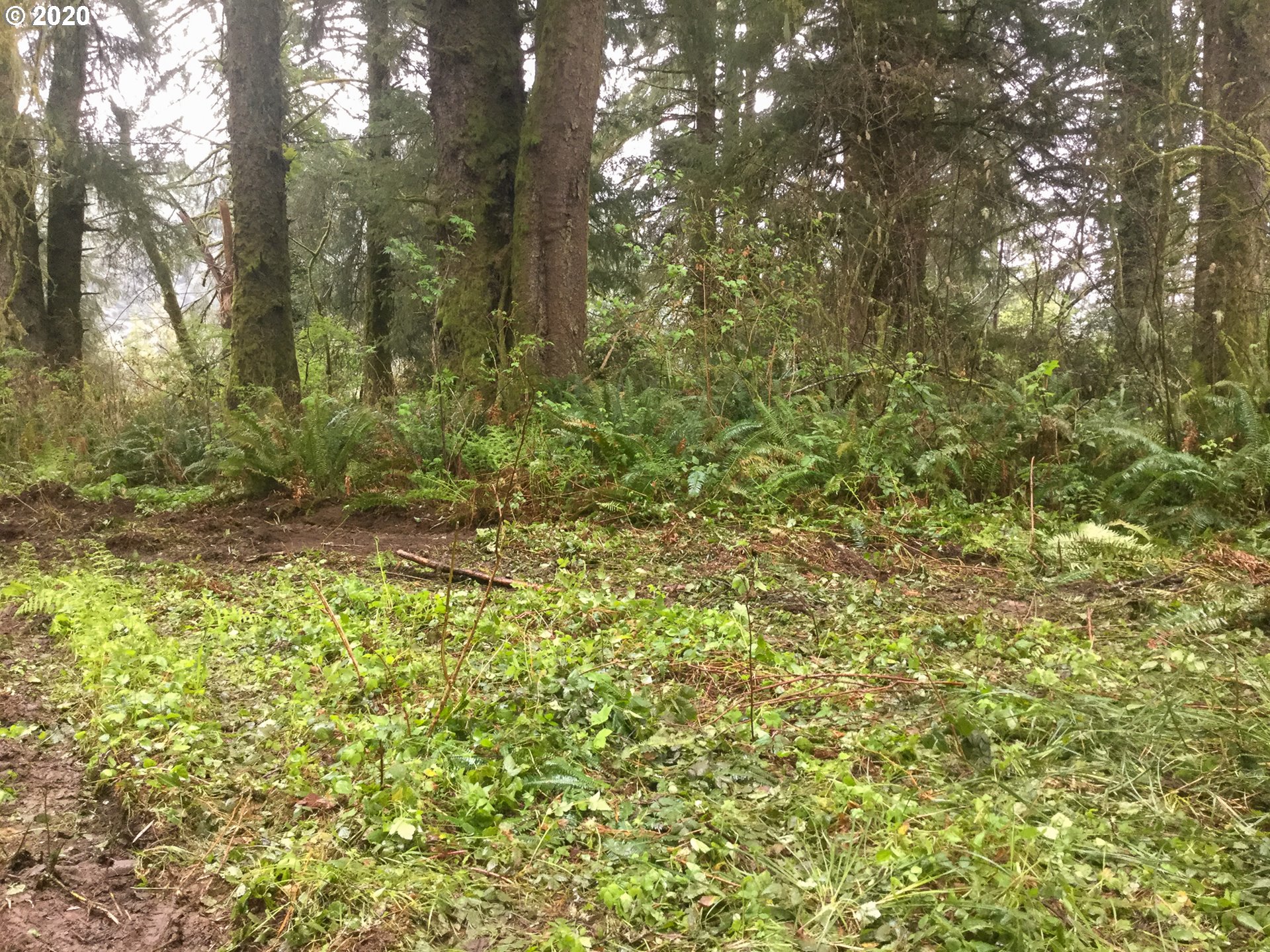 8305 Duncan Island Road Mapleton, OR 97453 - Photo 12 of 14 Gallery Image 12