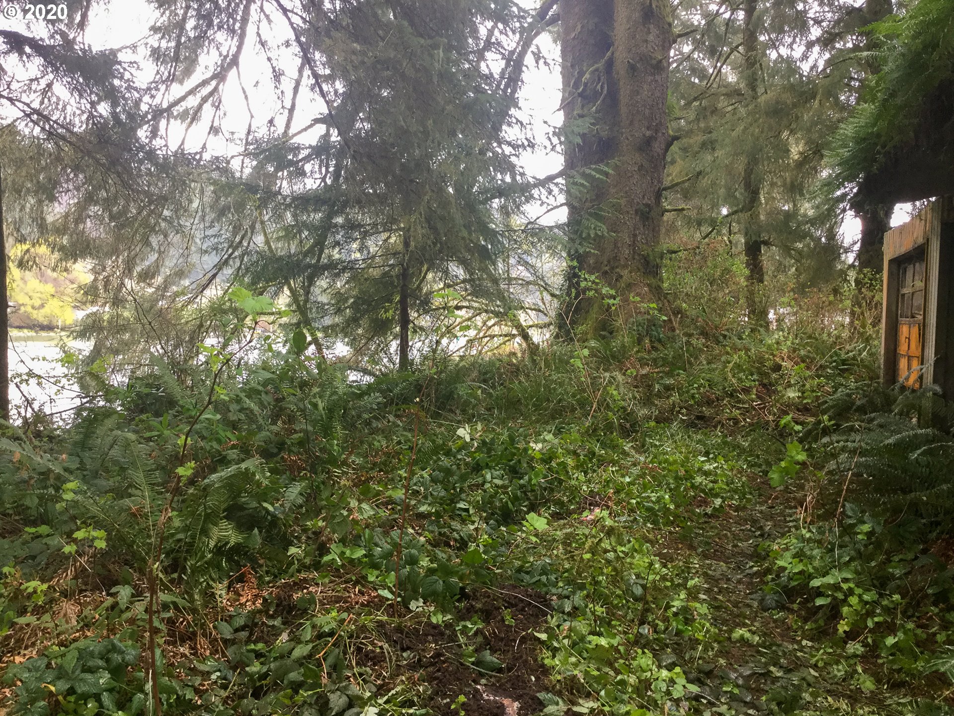 8305 Duncan Island Road Mapleton, OR 97453 - Photo 13 of 14 Gallery Image 13