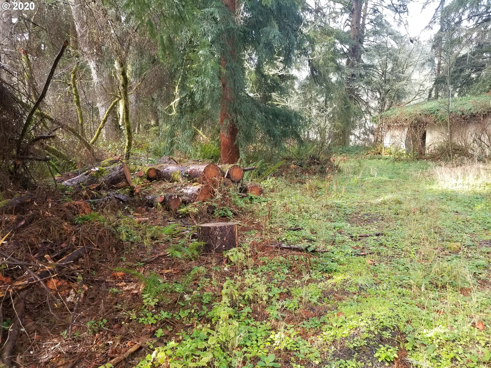 8305 Duncan Island Road Mapleton, OR 97453 - Photo 10 of 14 Gallery Image 10